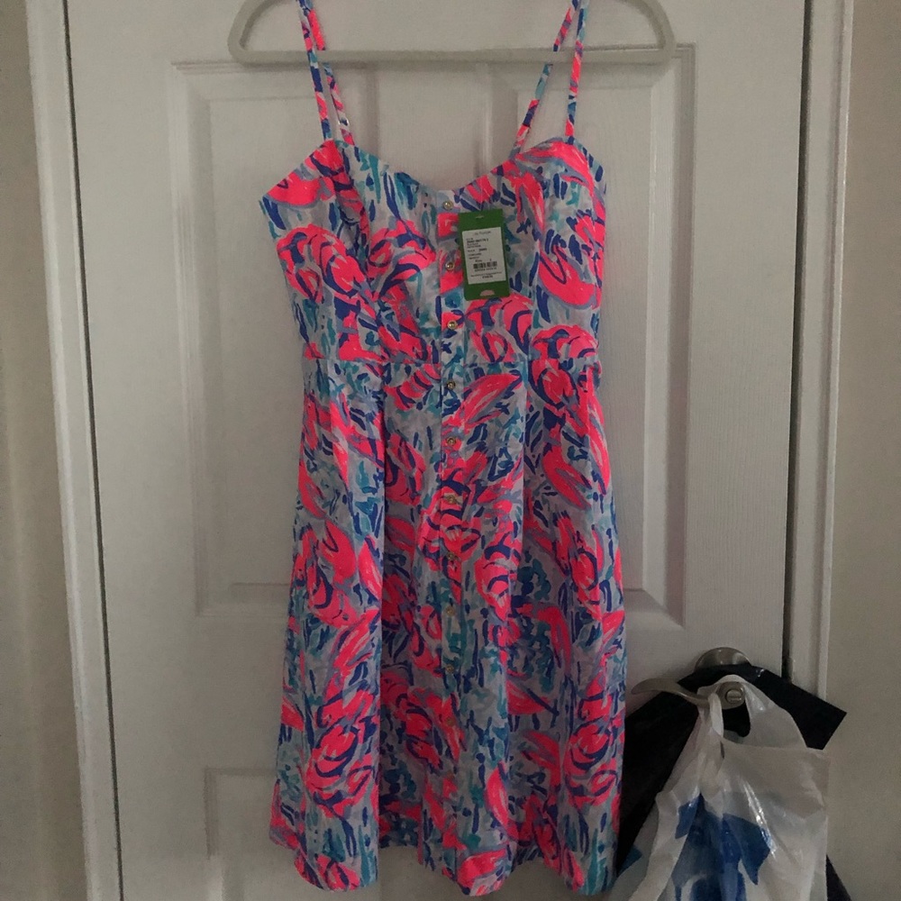 NWT Lilly Pulitzer Easton Dress in Cracked Up